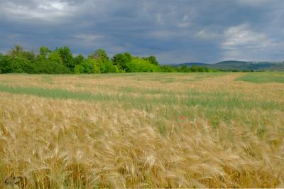 Прикрепленное изображение: 07.jpg